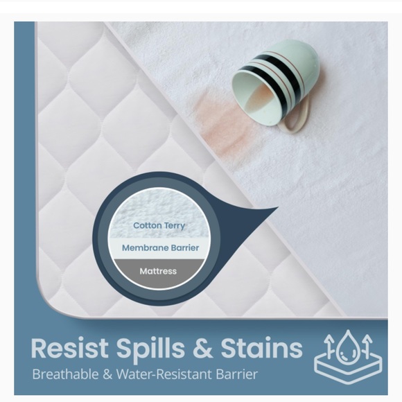 SafeRest Bedding Saferest Mattress Protector Cotton Terry